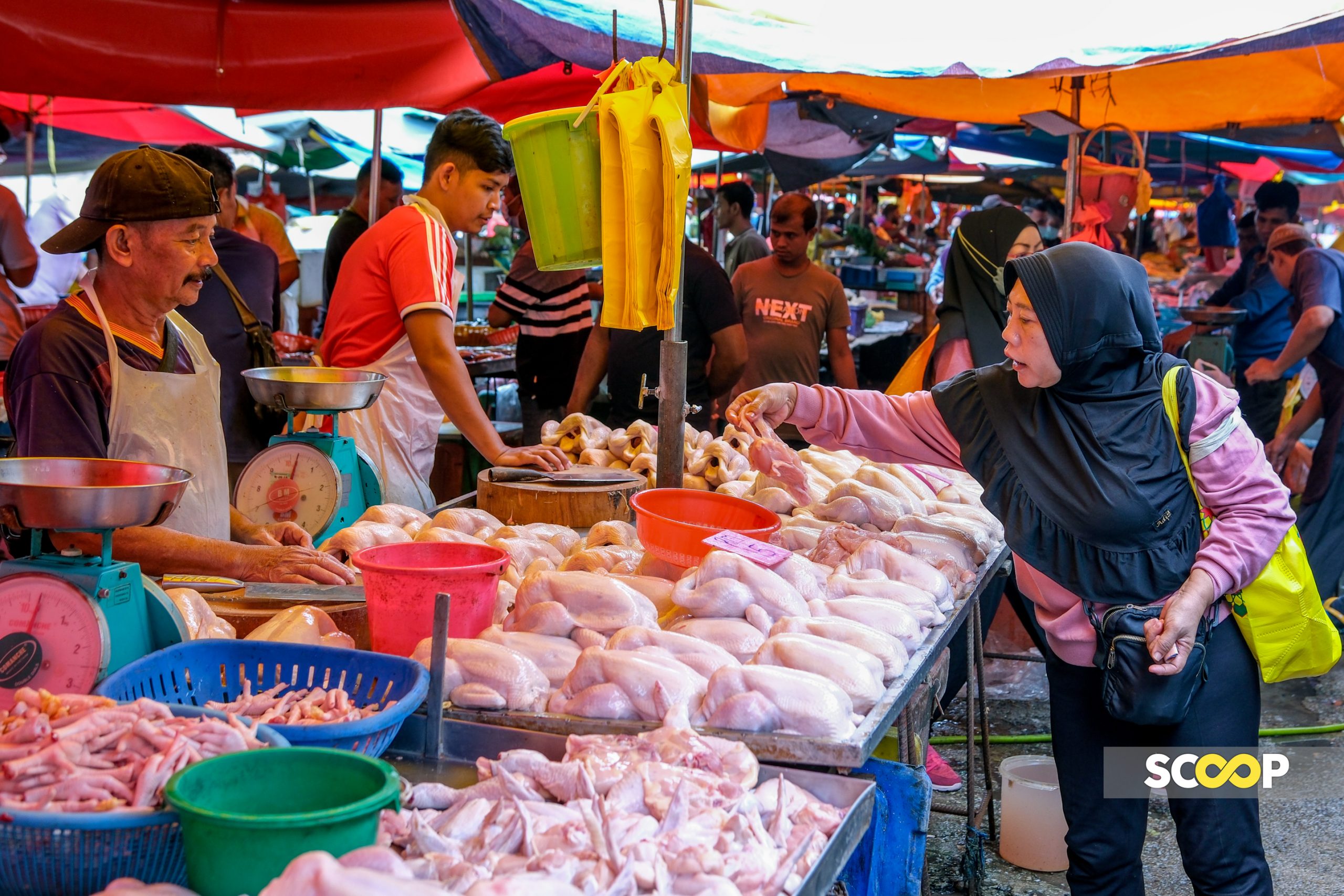 Harga ayam boleh didapati lebih rendah selepas diapungkan: Armizan