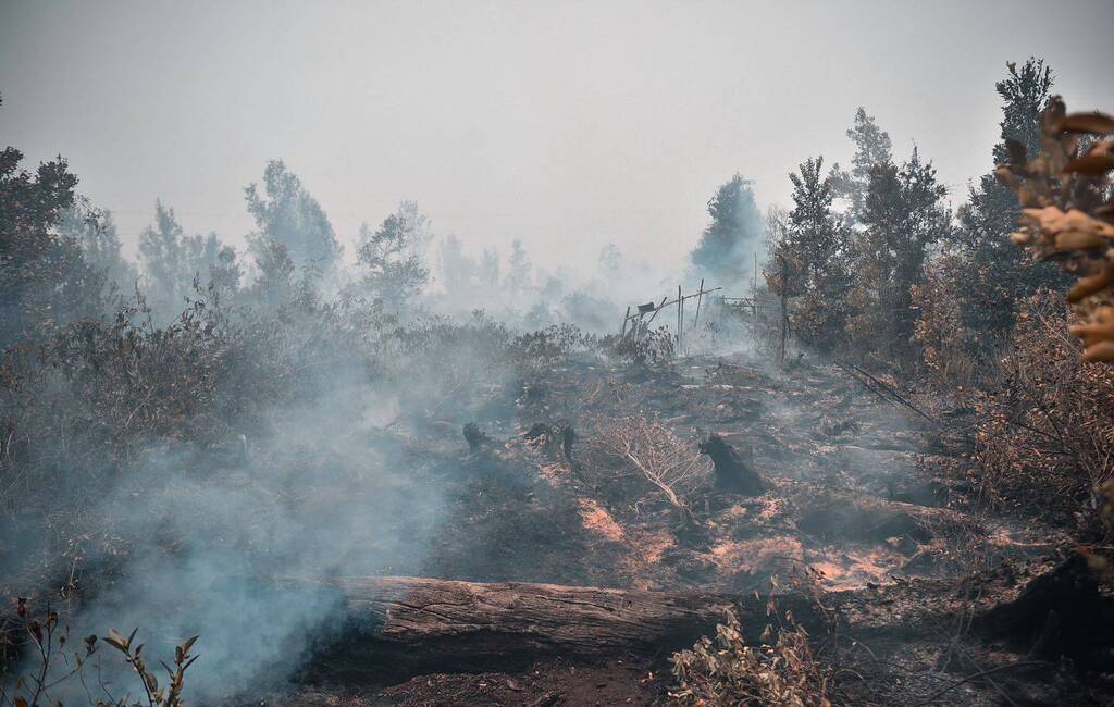 Central Kalimantan declares emergency due to severe air pollution ...