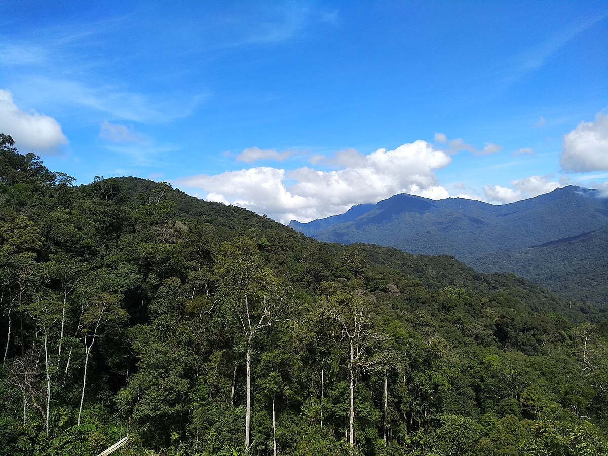 Environment ministry hopes Kelantan will reconsider decision on forest reserves