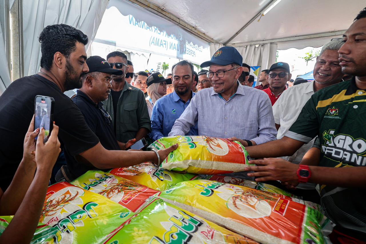 [UPDATED] Govt will introduce targeted urban farming programme, PM says