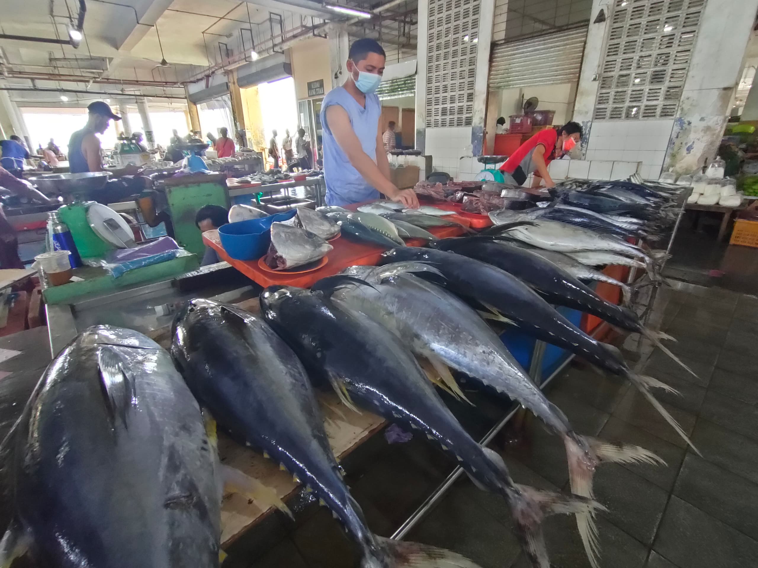 Sabah govt not doing enough to prevent overfishing on east coast: industry rep