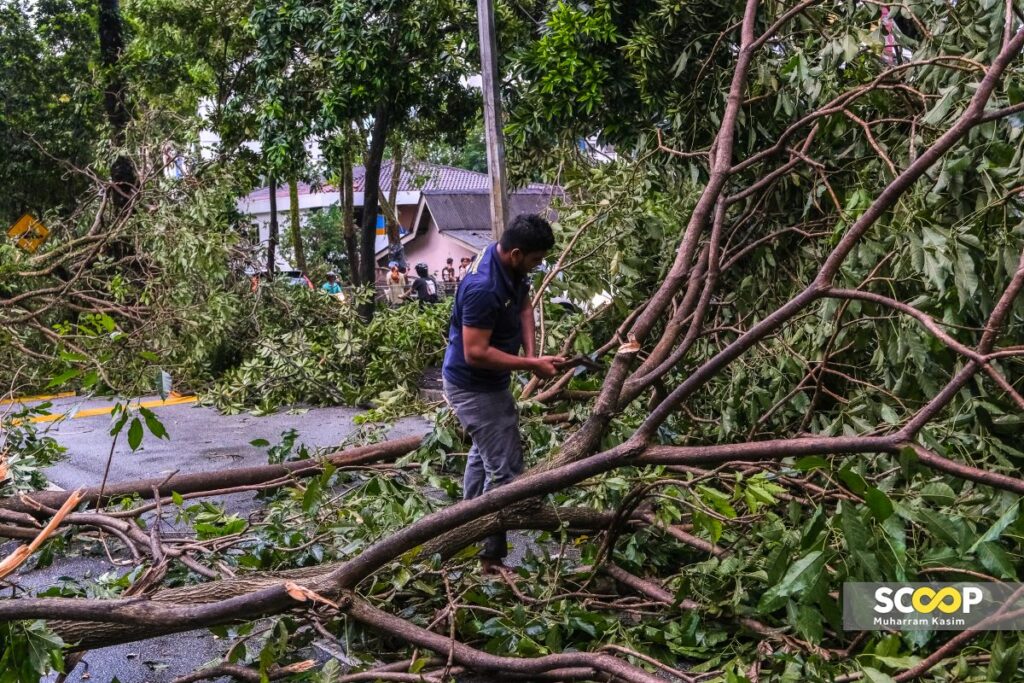 25052024-Pokok-tumbang-kerana-hujan-lebat-di-Pantai-Hillpark-Pantai-Dalam-Muharram-Kasim-0-6