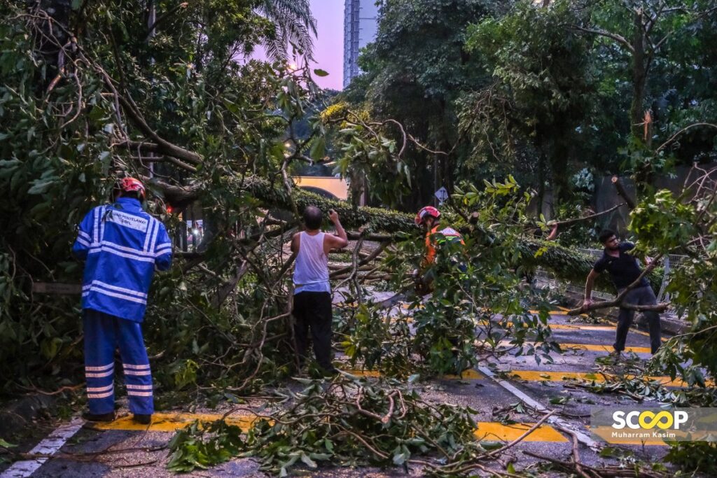 25052024-Pokok-tumbang-kerana-hujan-lebat-di-Pantai-Hillpark-Pantai-Dalam-Muharram-Kasim-0-8