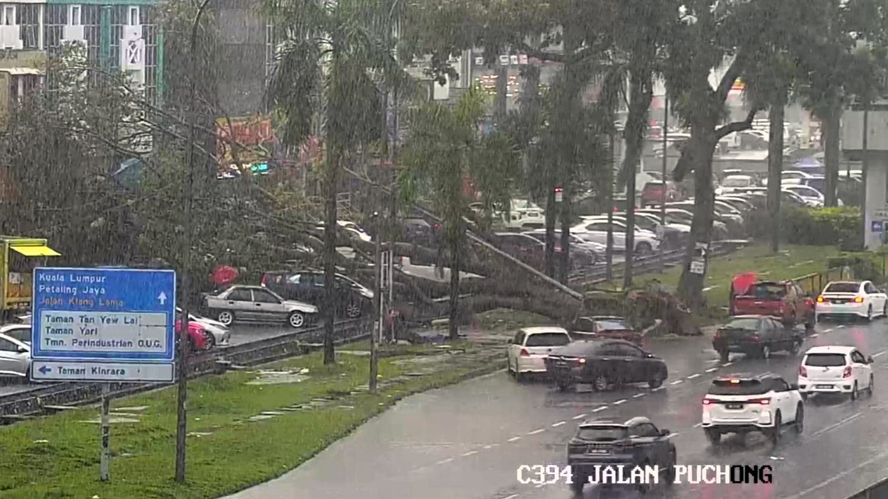 Another huge fallen tree damages seven cars near Jalan Puchong’s AmBank