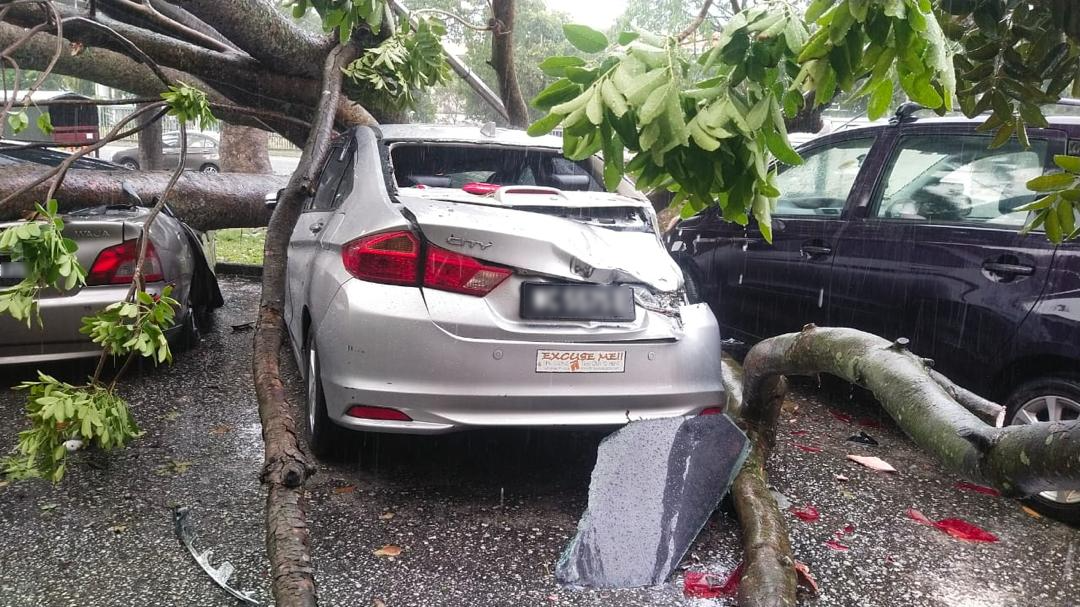 Lagi kejadian pokok tumbang, kali ini hempap 7 kereta di Taman Kinrara
