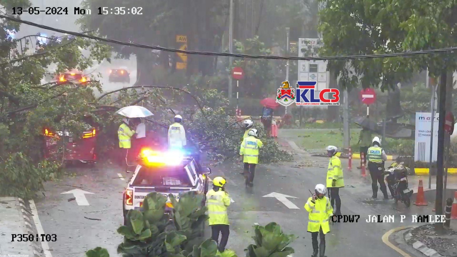Lagi pokok tumbang, kali ini di Jalan Pinang, turut hempap  kenderaan
