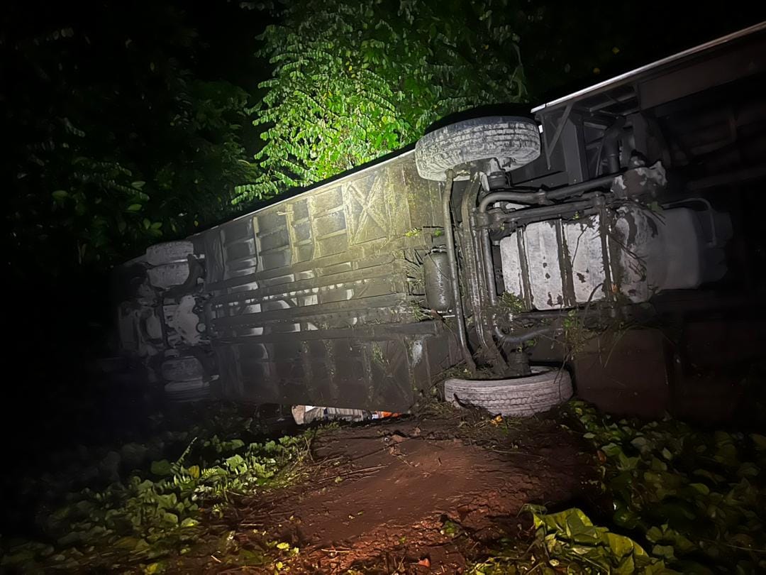 Six people hurt after express bus plunges into 50m ravine