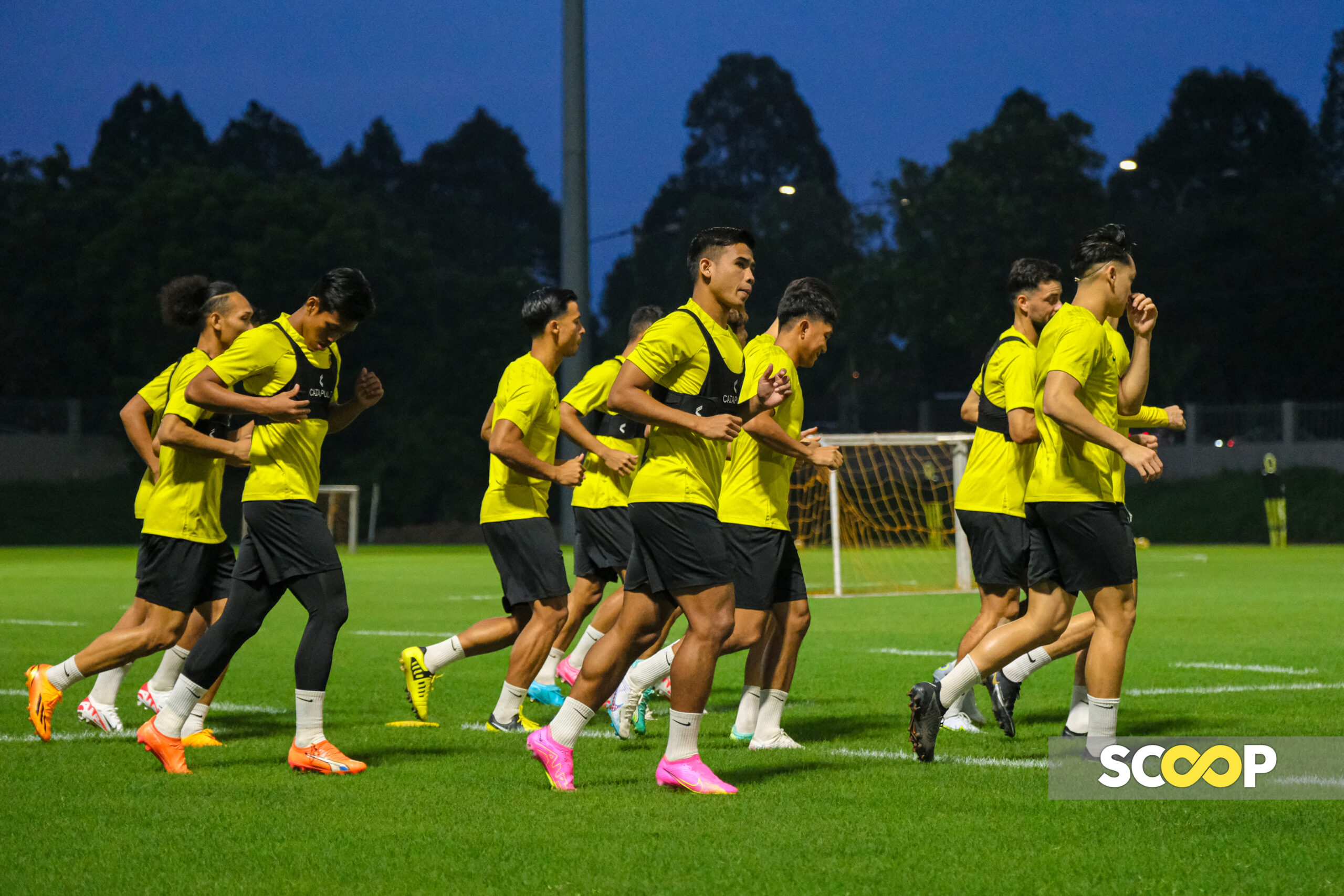Harimau Malaya must sharpen their claws with perfect players for AFF glory: ex-footballers