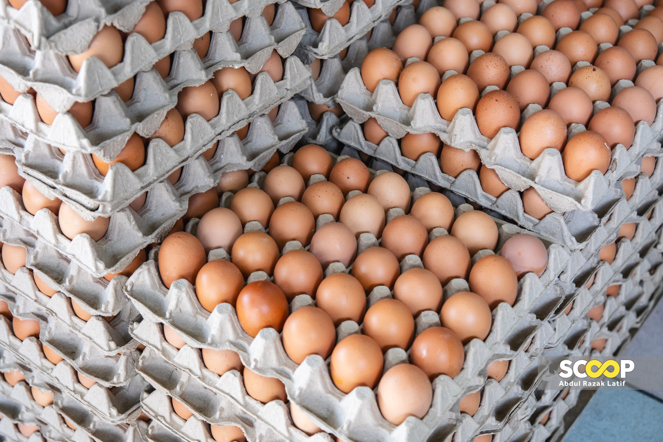Egg price cut fails to lower food costs in Sabah