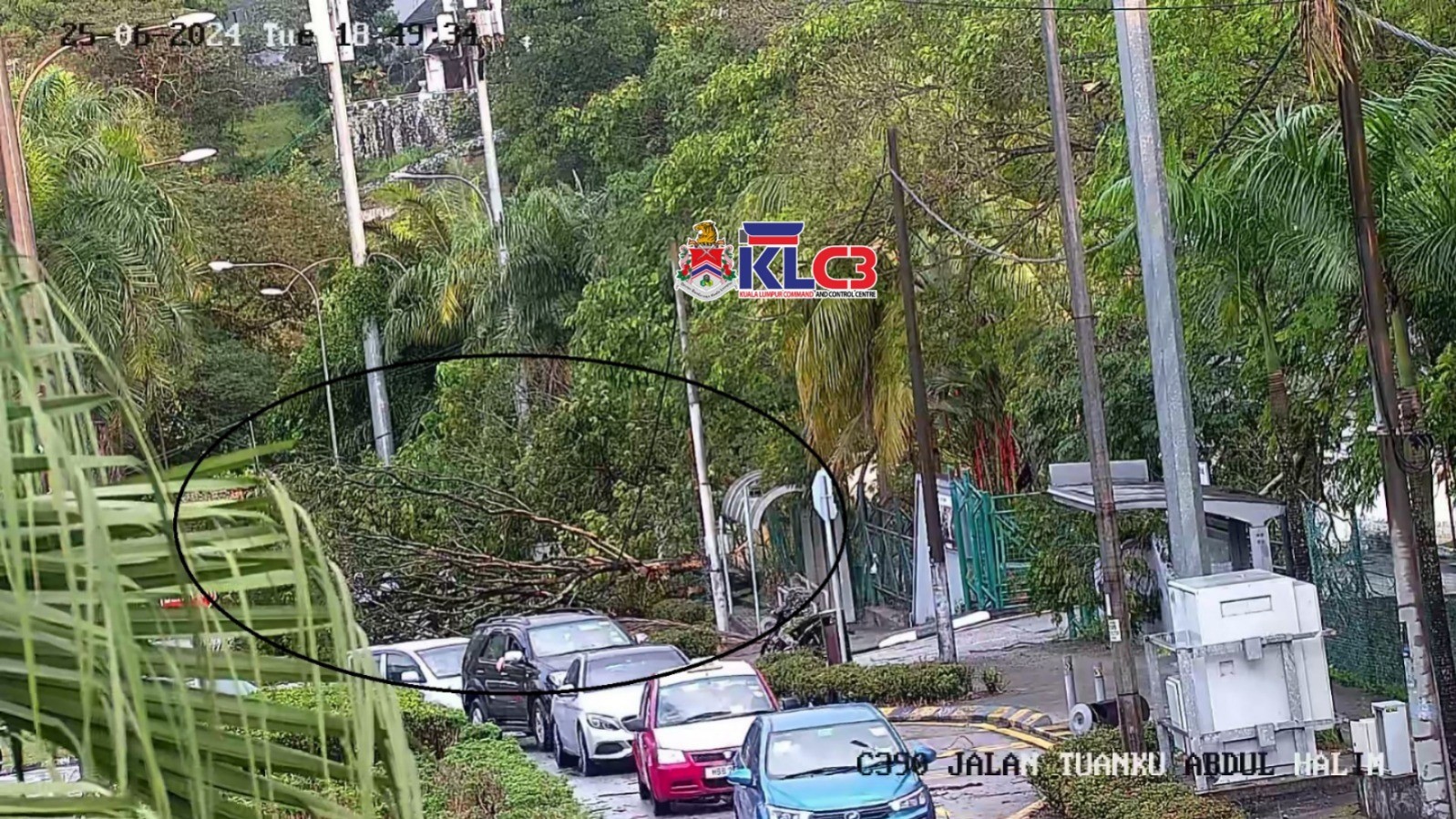 [UPDATED] Traffic chaos after tree falls near Tun Razak tennis centre 