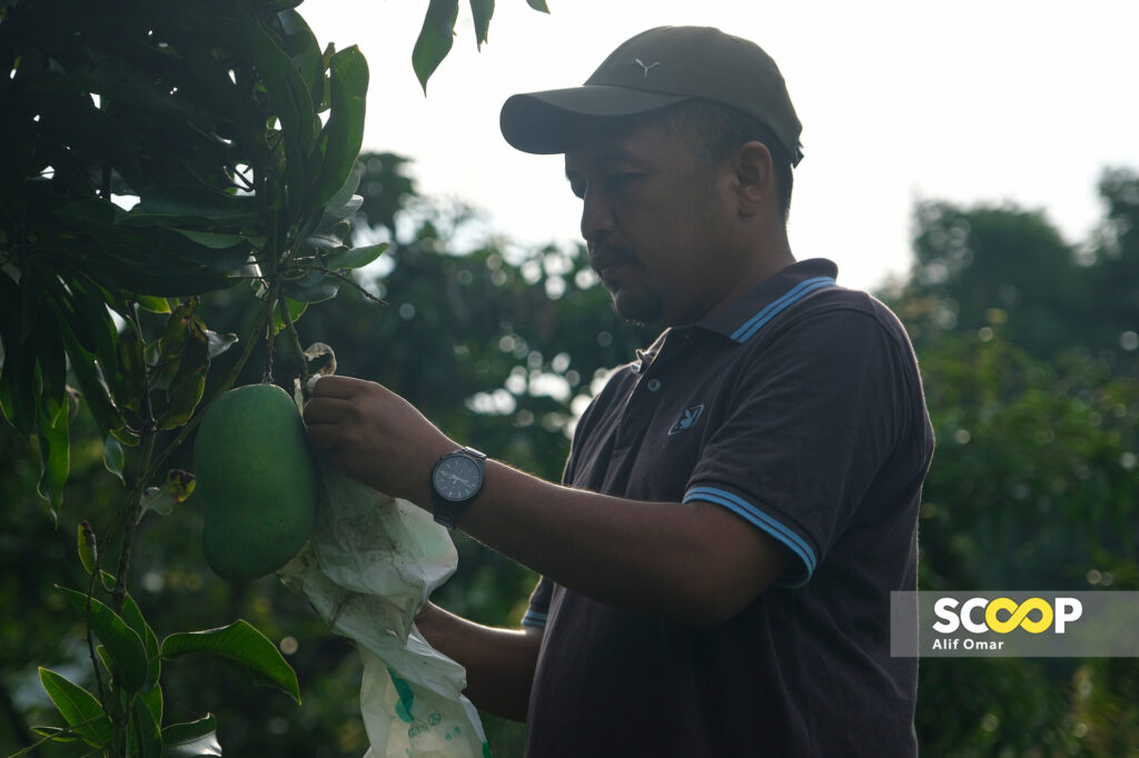 Discovering Flavours Of Malaysia's Northernmost Point, Local 