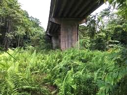 Kenyir-viaduct-Pertanika