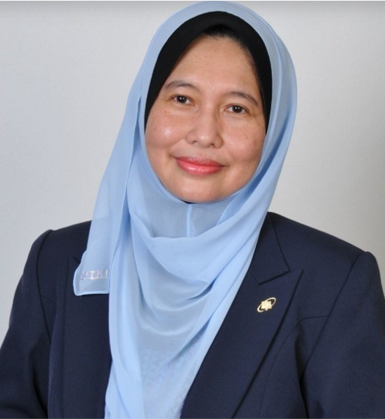 Prof Wan Mazlina Linkedin pic