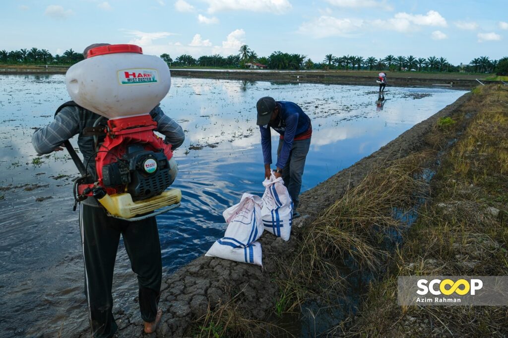 22122023 - Temubual pesawah Selangor berkait isu Bernas,padi dan beras di Tanjung Karang - AZIM RAHMAN