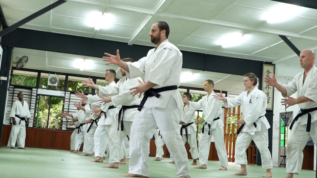 Aikido - The Shudokan pic 3